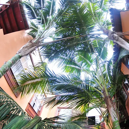 Emblemático San Marcos 3* Icod De Los Vinos