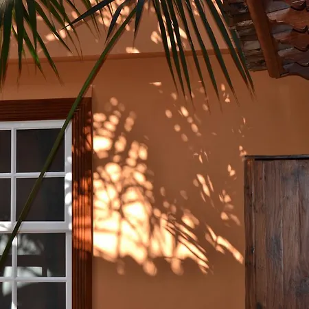 Emblemático San Marcos