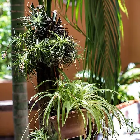 Emblematico San Marcos 3*