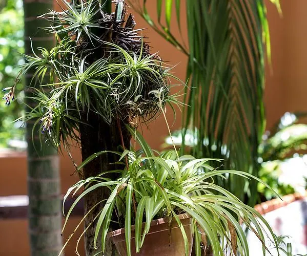 Emblematico San Marcos 3*