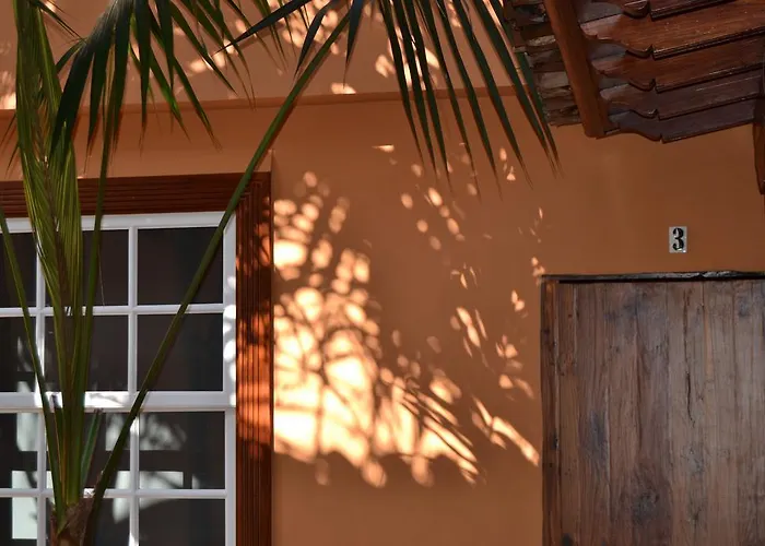 Emblematico San Marcos